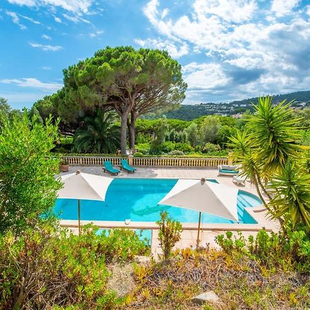 Bed and Breakfast Paradis Provencal Sainte-Maxime Exteriér fotografie