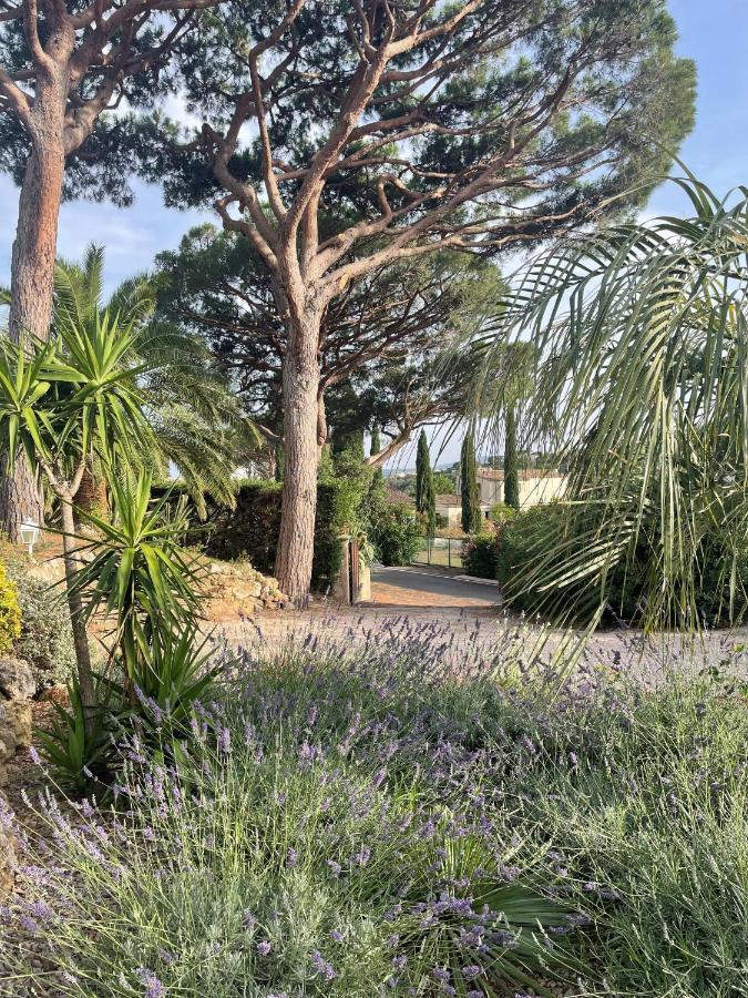 Bed and Breakfast Paradis Provencal Sainte-Maxime Exteriér fotografie