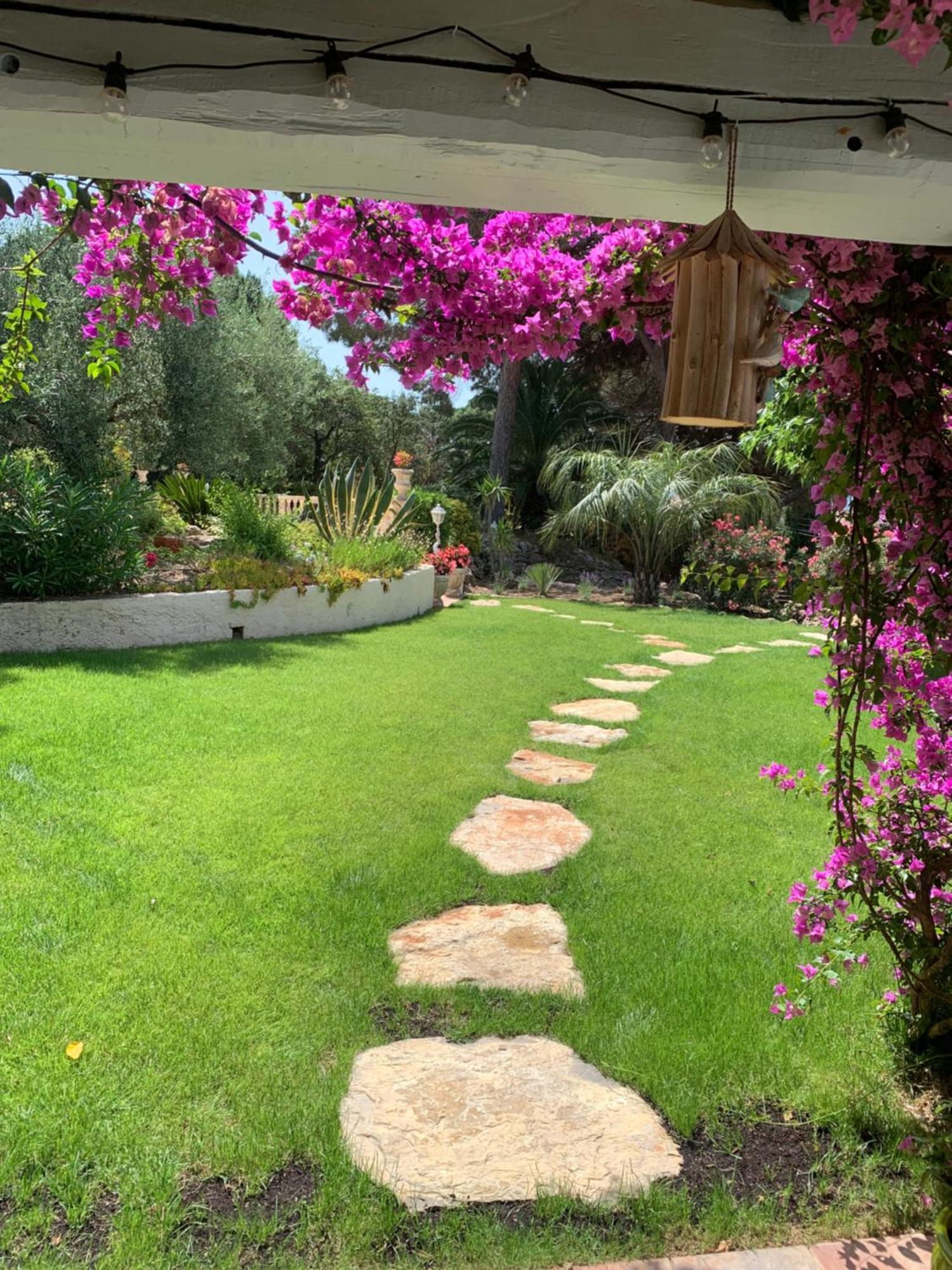 Bed and Breakfast Paradis Provencal Sainte-Maxime Exteriér fotografie